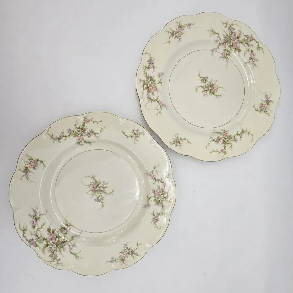 Haviland theodore new